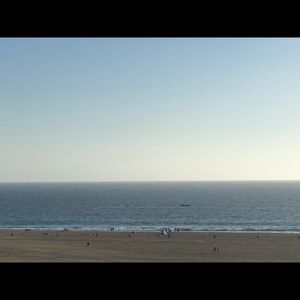 Meet your Posher, Elia